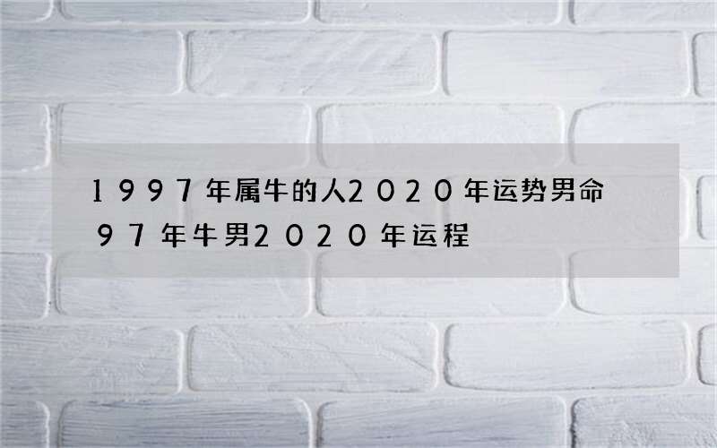 1997年属牛的人2020年运势男命 97年牛男2020年运程